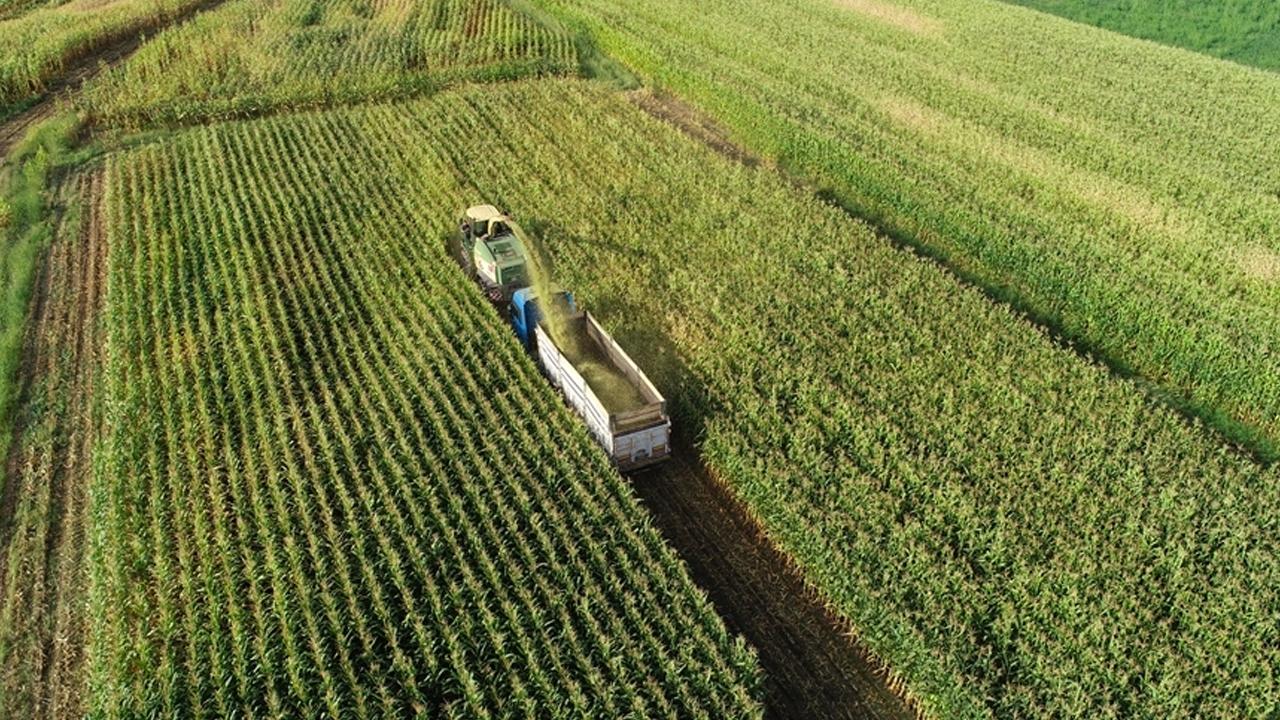 Tarımsal girdi fiyatları ocakta yüzde 5,89 arttı