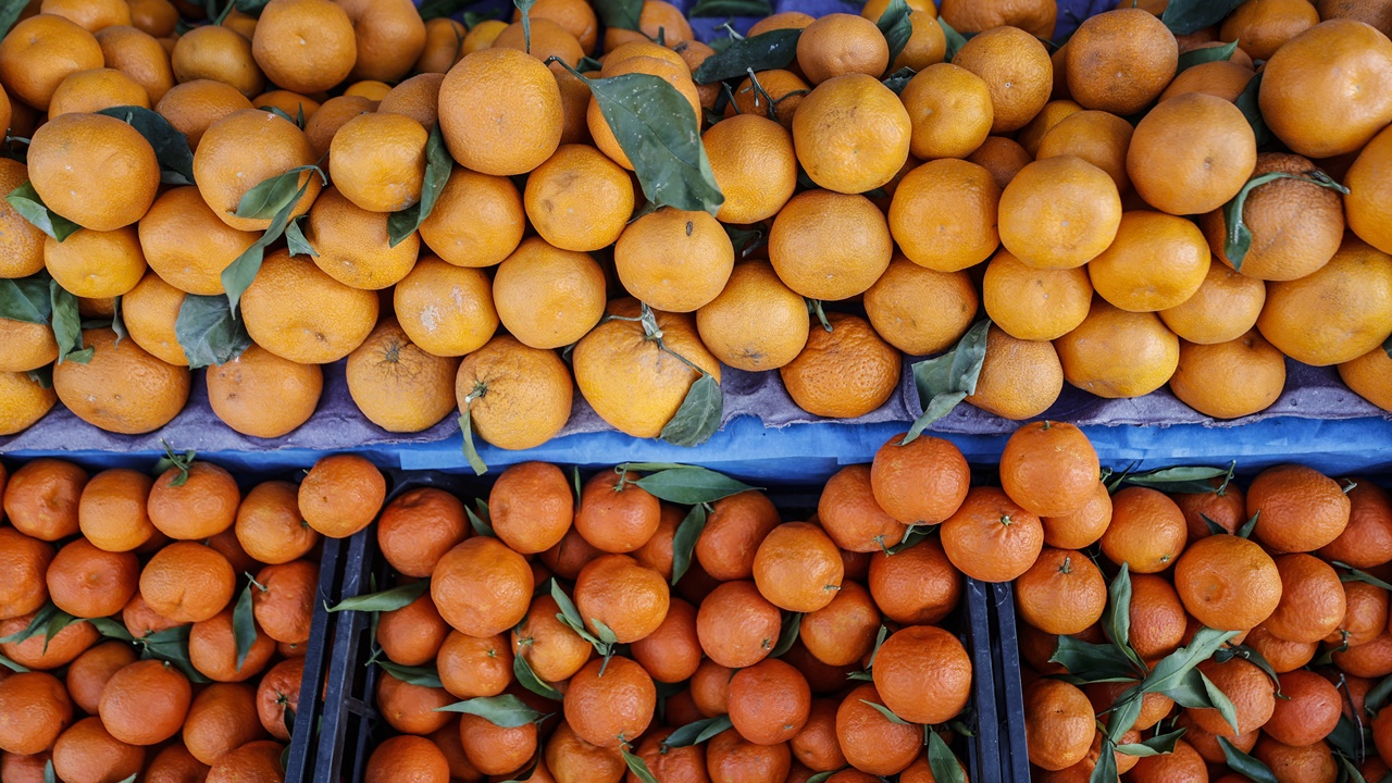 Narenciye ihracatını Mersin, Hatay ve Adana sırtladı 